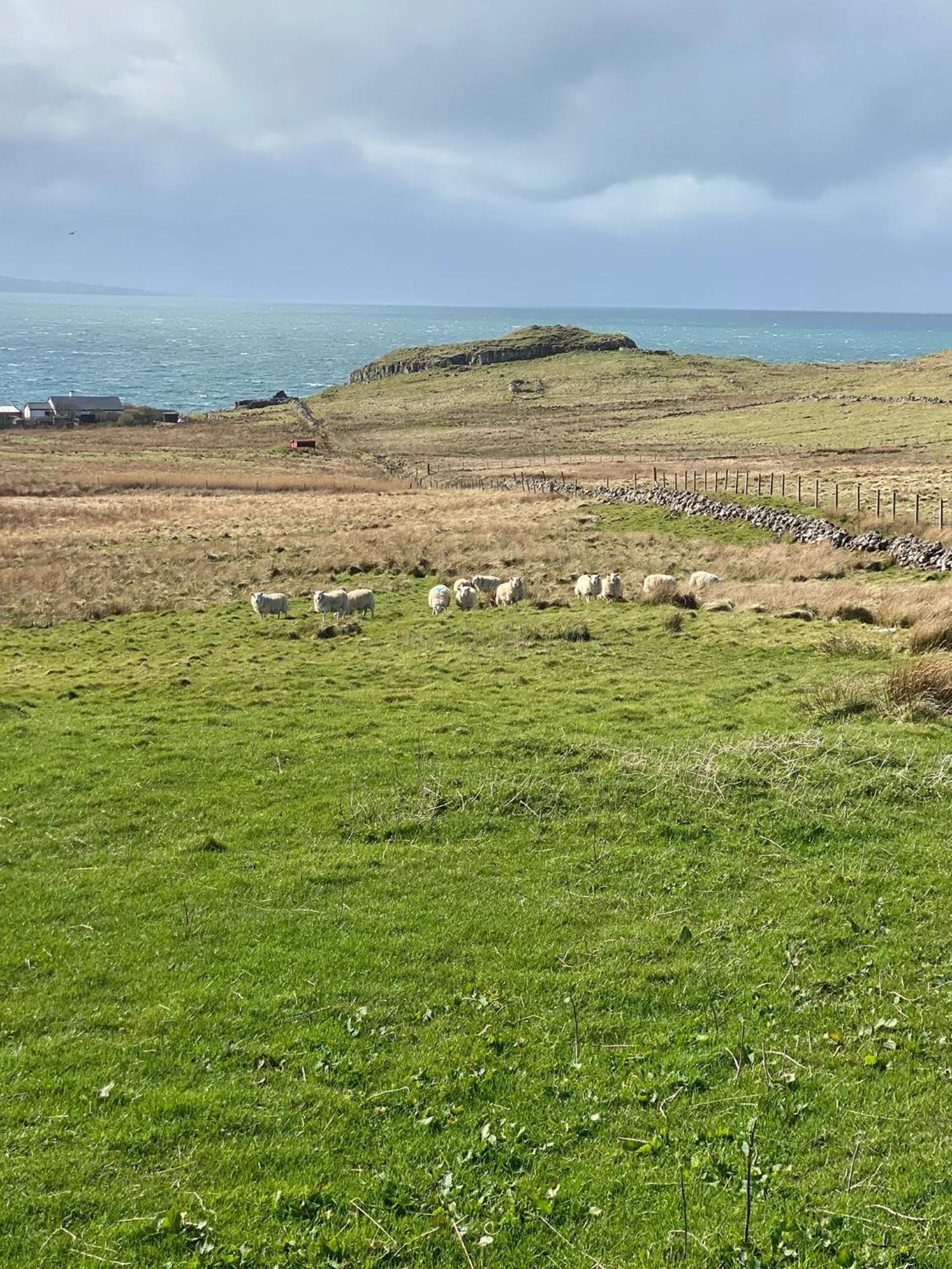 Cnoc Ruaraidh Cottage Kilmuir  Exteriör bild